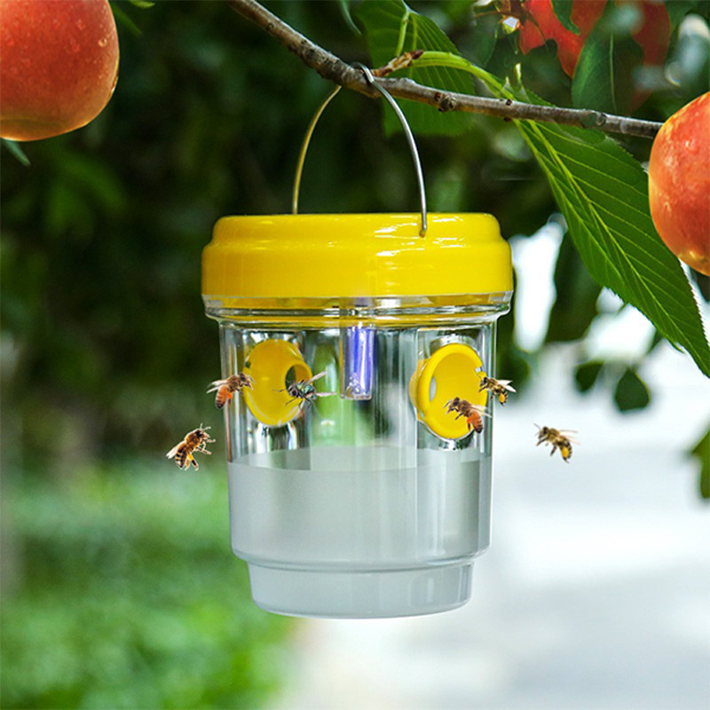 Trampas Solares para Moscas de - Outdoor Lighting Under Pergola reseña y precio