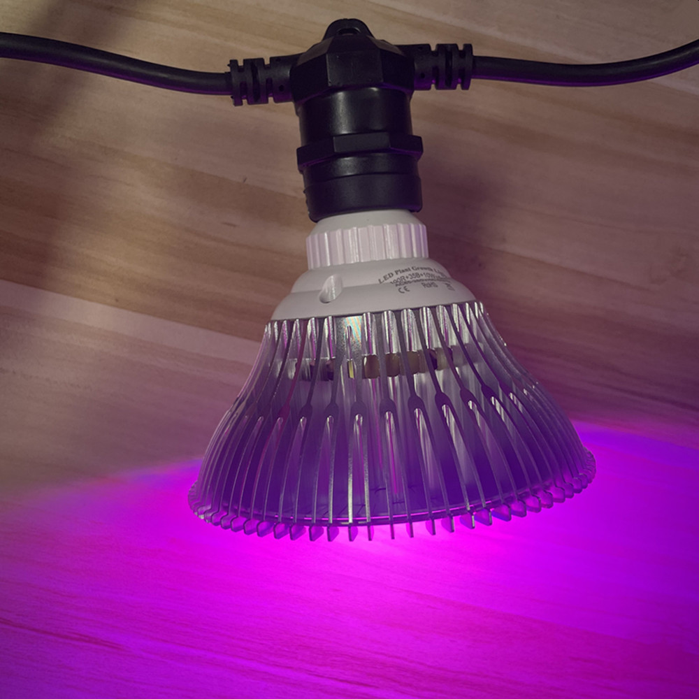 Cadena de luces LED de 10M, re - Outdoor Lighting Socket reseña y precio