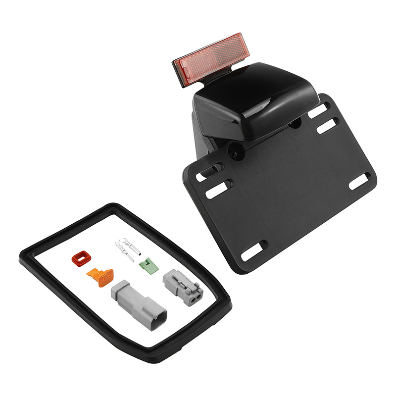Kit de luces LED para matrícul - Outdoor Lighting Kits reseña y precio