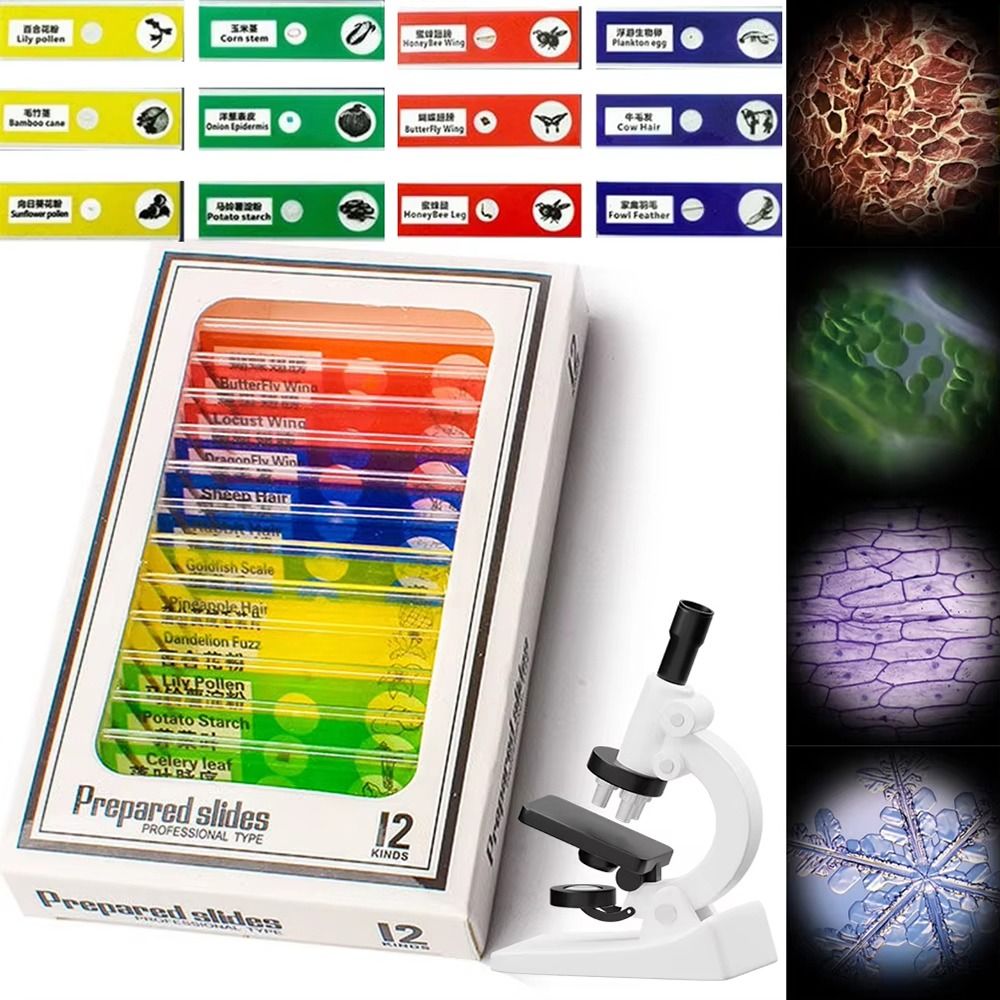Microscopio de bolsillo 60-120 - Outdoor Lighting Kits reseña y precio