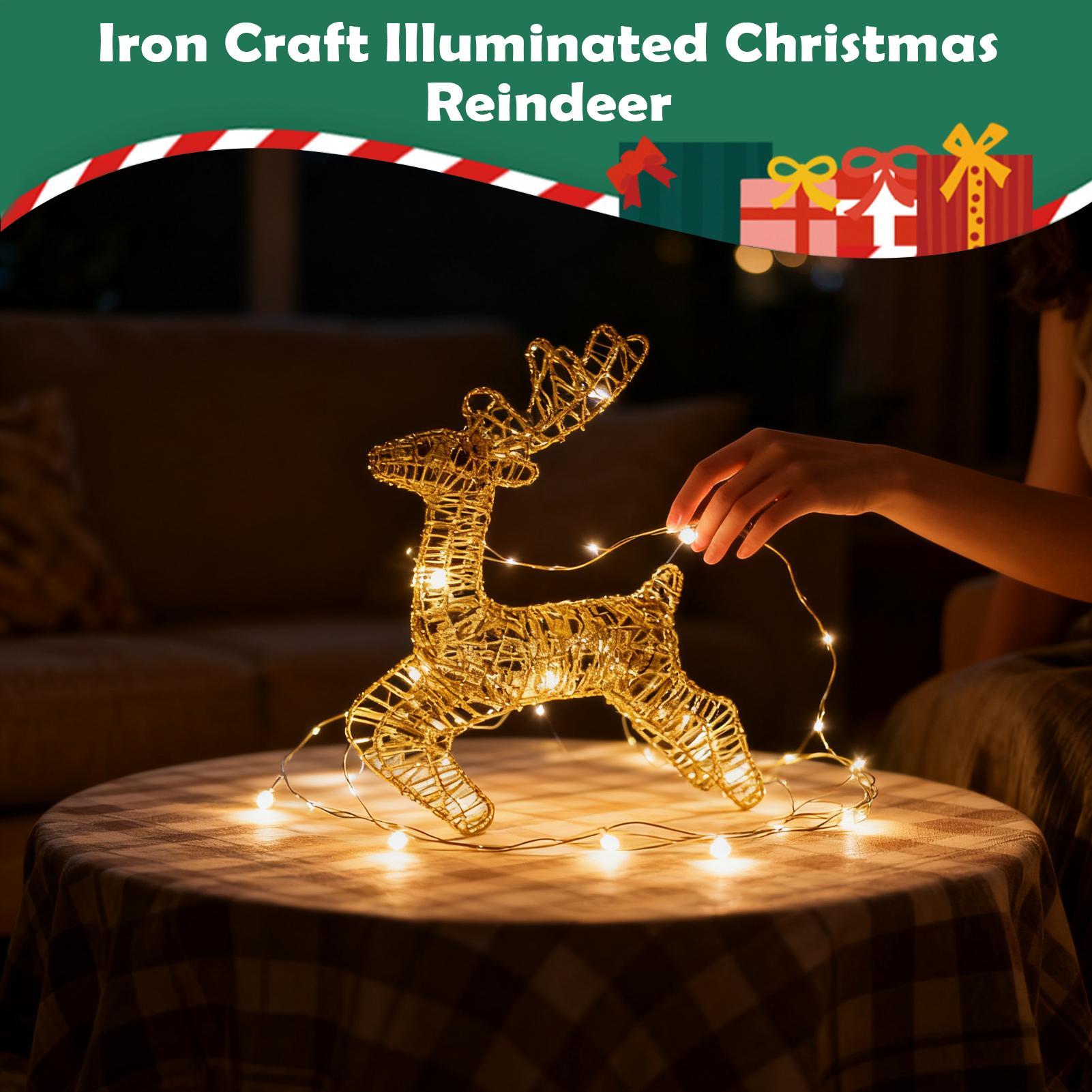 Ciervo de Navidad iluminado, d - Outdoor Lighting Front Yard reseña y precio