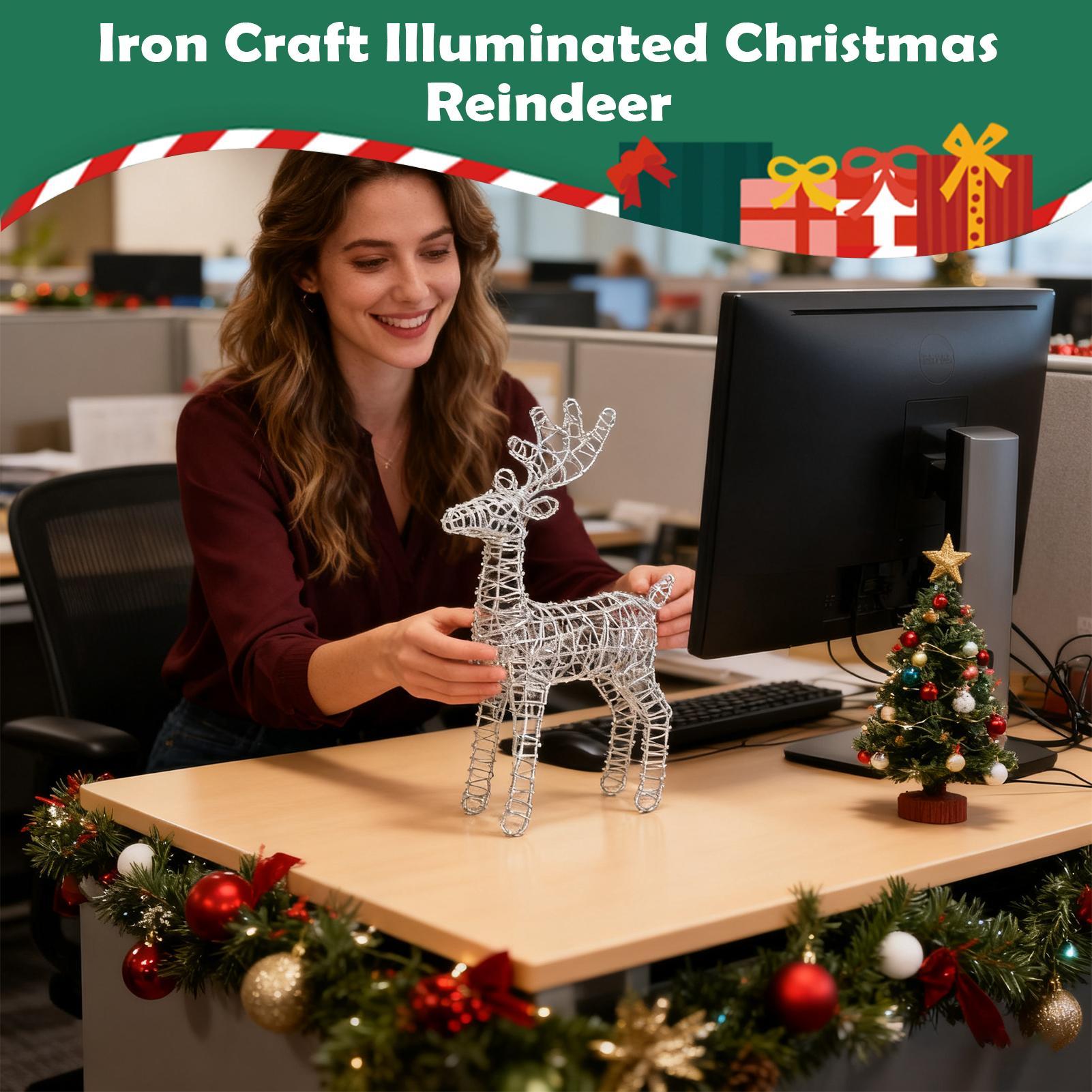 Ciervo de Navidad iluminado, d - Outdoor Lighting Front Yard reseña y precio
