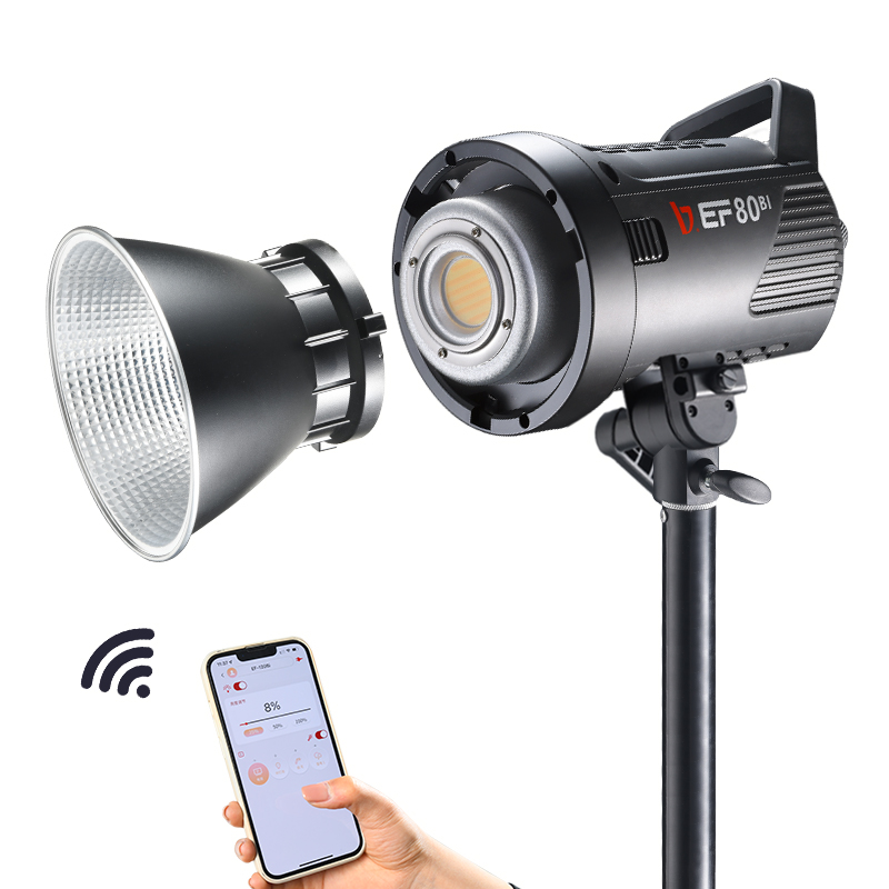 Kit de Luz LED de Video Portát - Outdoor Lighting Kits reseña y precio
