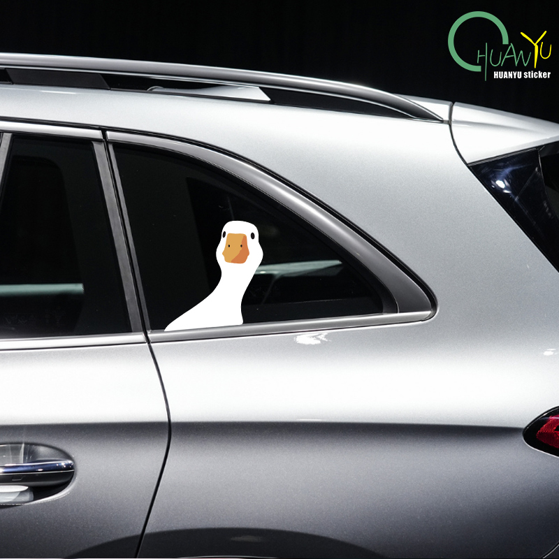 Seguridad del coche para pato  - Outdoor Lighting Socket reseña y precio
